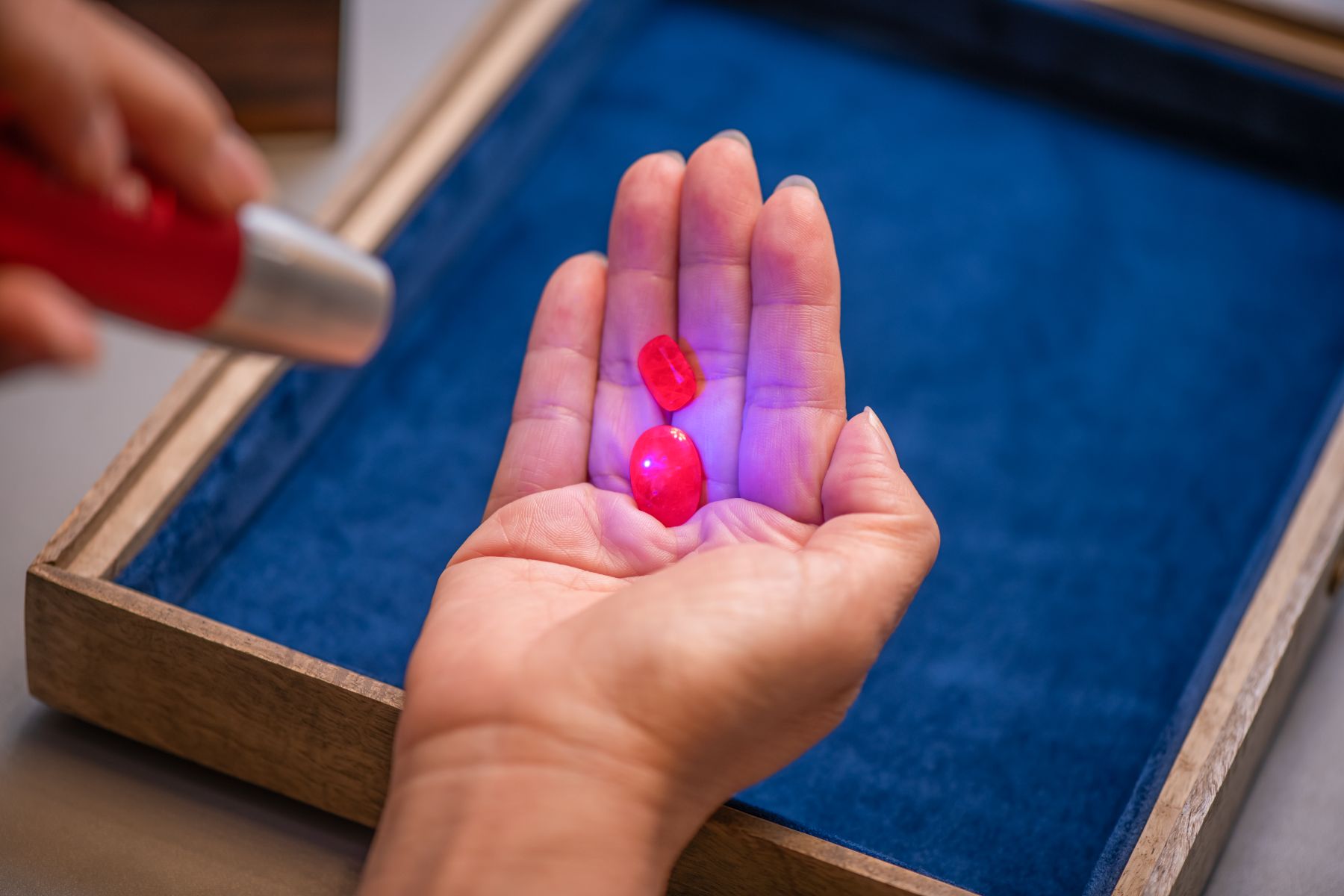 JUSTLEE natural unheated ruby collection certified by international laboratories such as GRS and Gübelin